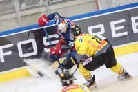 Dennis Robertson (RBS) und Trevor Cheek (Capitals) (c) GEPA pictures Rauthner .jpg