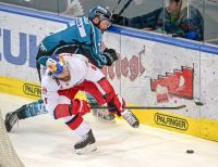 Brett Palin (Black Wings) und Thomas Raffl (EC RBS) (c) GEPA pictures Osterauer .jpg