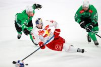 HK SZ Olimpija Ljubljana vs EC Red Bull Salzburg (c) GEPA pictures Klansek.jpg