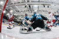 Salzburg vs Linz (c) Felix Roittner.jpg