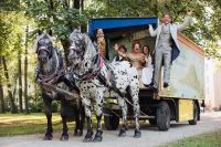 Salzburger Strassentheater (c) Lienbacher