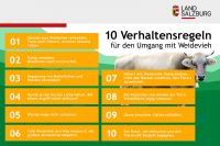Verhaltensregeln (c) Land Salzburg