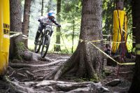 Vali Höll (c) Breitenberger