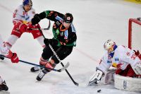 Bullen gegen 99ers (c) GEPA Ertl