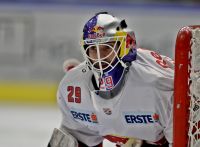 Bernhard Starkbaum (RBS) (c) GEPA pictures Hans Oberlaender .jpg