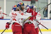 Jubelnde Bullen (c) GEPA Mandl.jpg