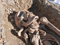 Spitalsfriedhof SALK Impressionen 12 (c) maic.jpg