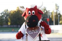 Bullidibumm (c) GEPA Roittner