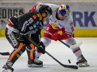 Dornbirner EC vs EC Red Bull Salzburg (c) GEPA pictures Oliver Lerch