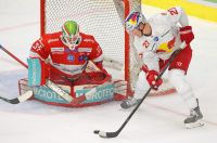 Salzburg gegen Bozen (c) GEPA pictures Bachun.jpg