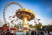 Salzburger DULT (c) Wildbild