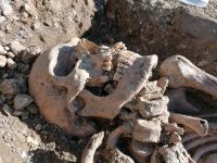 Spitalsfriedhof SALK Impressionen 11 (c) maic.jpg