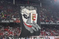 Salzburg zeigt gross auf (c) GEPA pictures Mathias Mandl.jpg