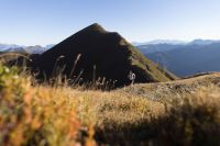 Herbstliche Aussichten vom Gamskarkogel (c) aIT JKlatt