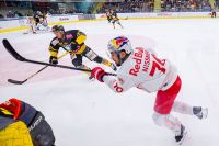 Matt Bradley (Capitals) und Benjamin Nissner (EC RBS) (c) GEPA pictures Gintare Karpaviciute.jpg