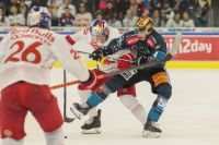 Dennis Robertson (EC RBS) Und Nico Feldner (Black Wings) (c) GEPA pictures  Mandl.jpg