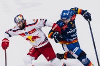 Migross Supermercati Asiago Hockey vs. EC Red Bull Salzburg (c) Zenoni EC Red Bull