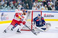 Florian Baltram (EC RBS) und Oliver Roy (Alba Volan) (c) GEPA pictures Gintare Karpaviciute .jpg